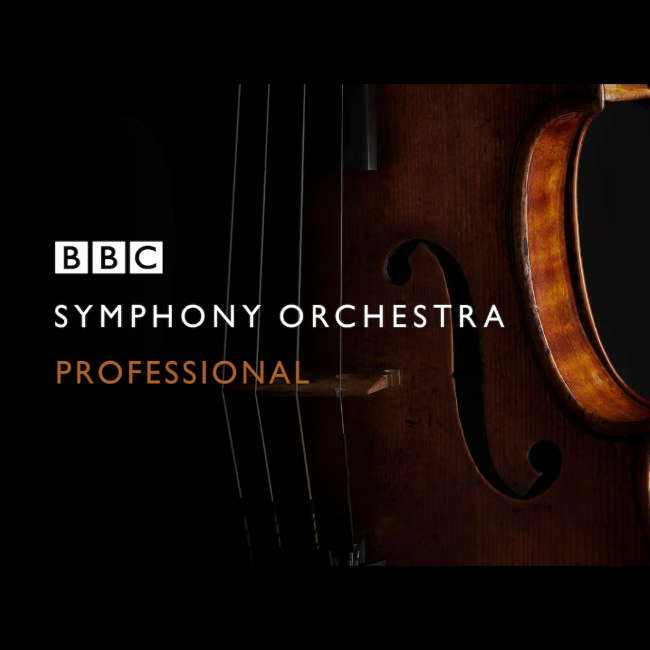 bbc symphony orchestra professional